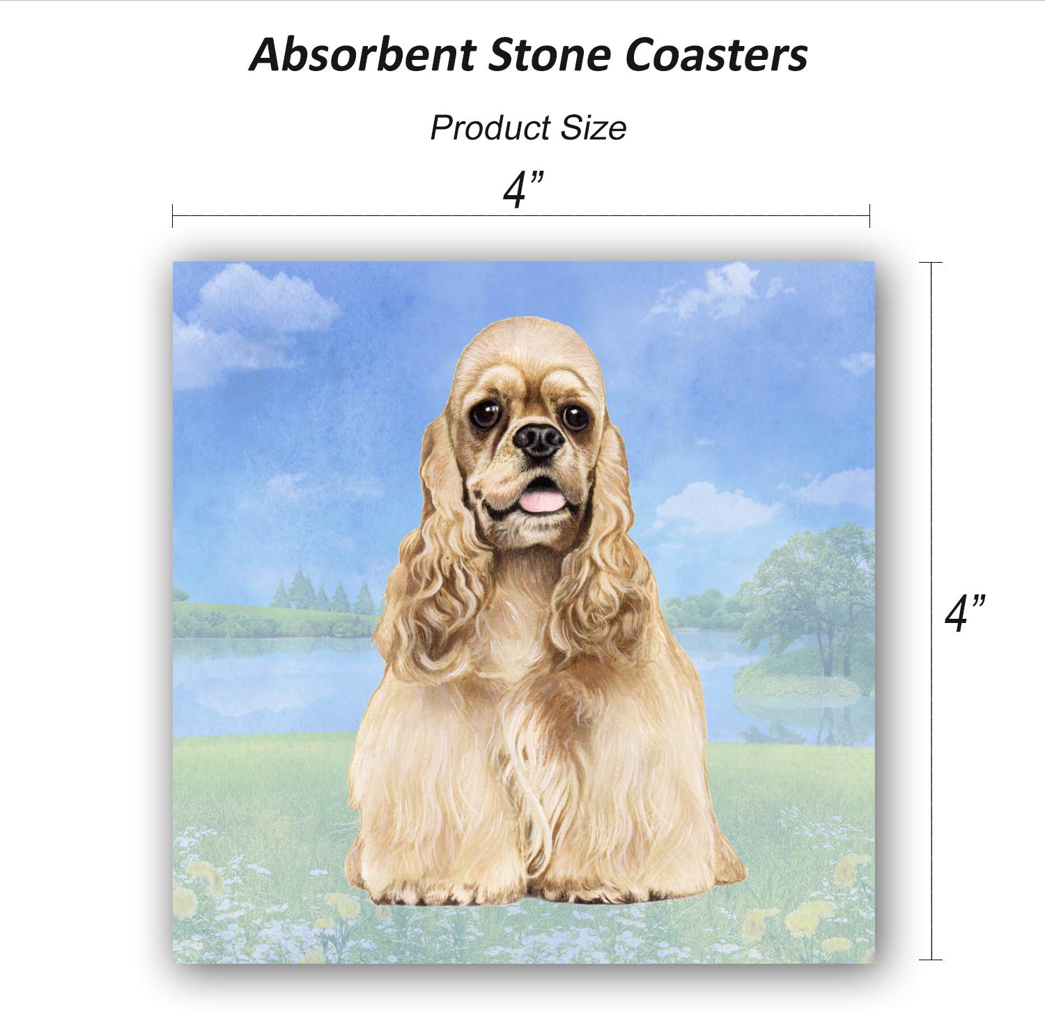 Dachshund Absorbent Stone Coaster - Cork Back helps prevent scratches on  furniture - No more Water rings on Furniture